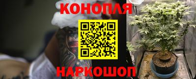 МДПВ Новодвинск