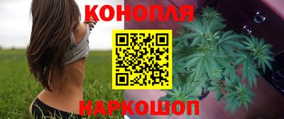 МДПВ Новодвинск