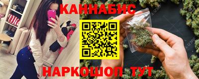 МДПВ Новодвинск