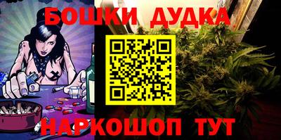 МДПВ Новодвинск