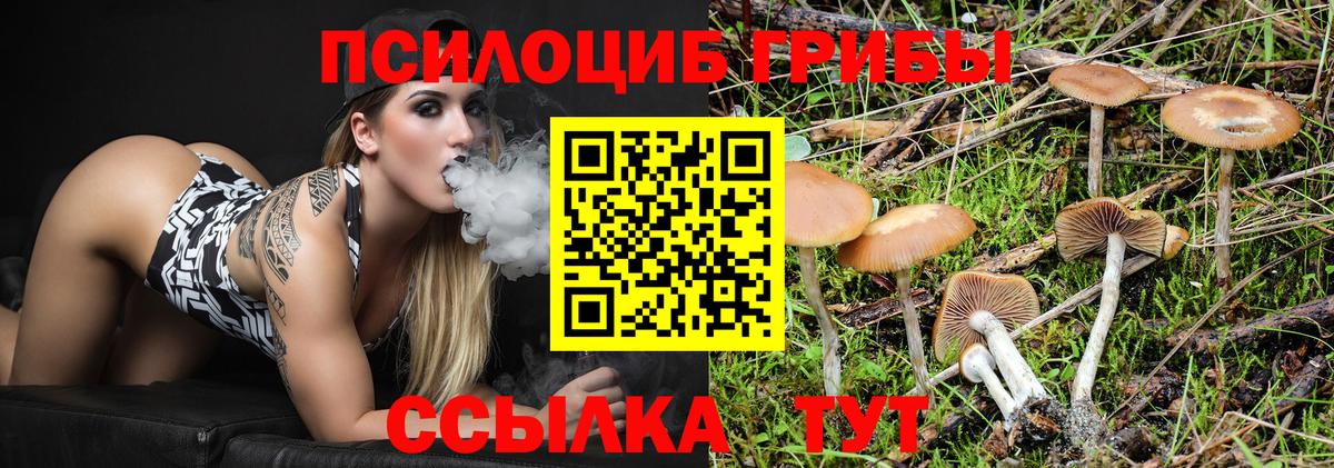 Новошахтинск  Псилоцибиновые грибы Cubensis  Вход с VPN  Галлюциногенные грибы ЛСД 