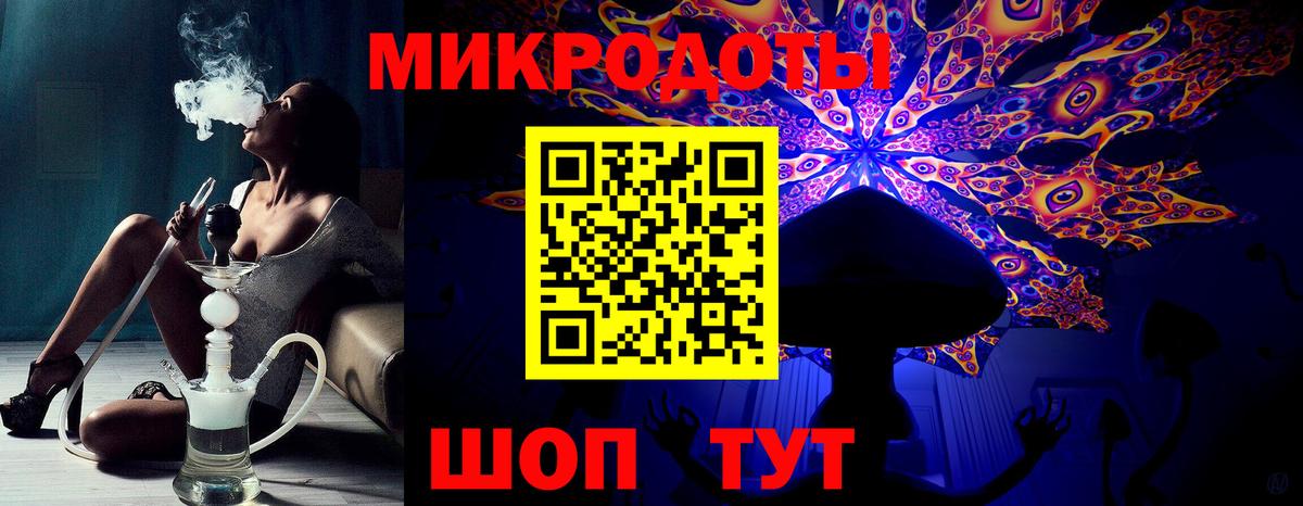 Псилоцибиновые грибы Psilocybe Новошахтинск